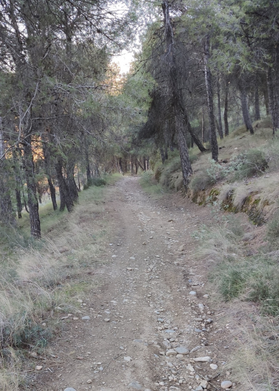 Camino de bajada al Arroyo del Hornillo