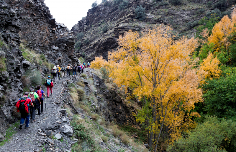 Recorridos de montaña